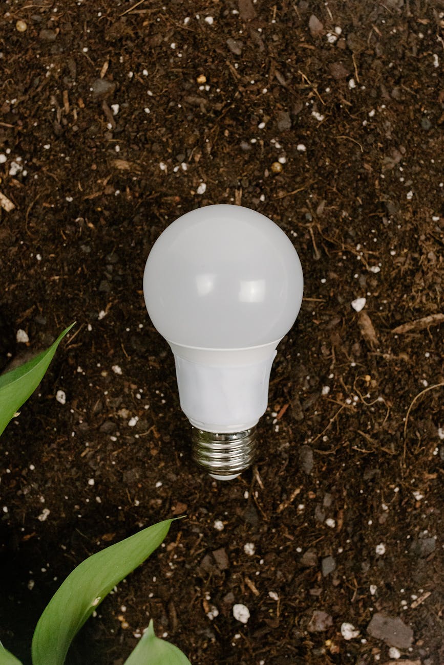 How Blockchain is Promoting Environmental Sustainability